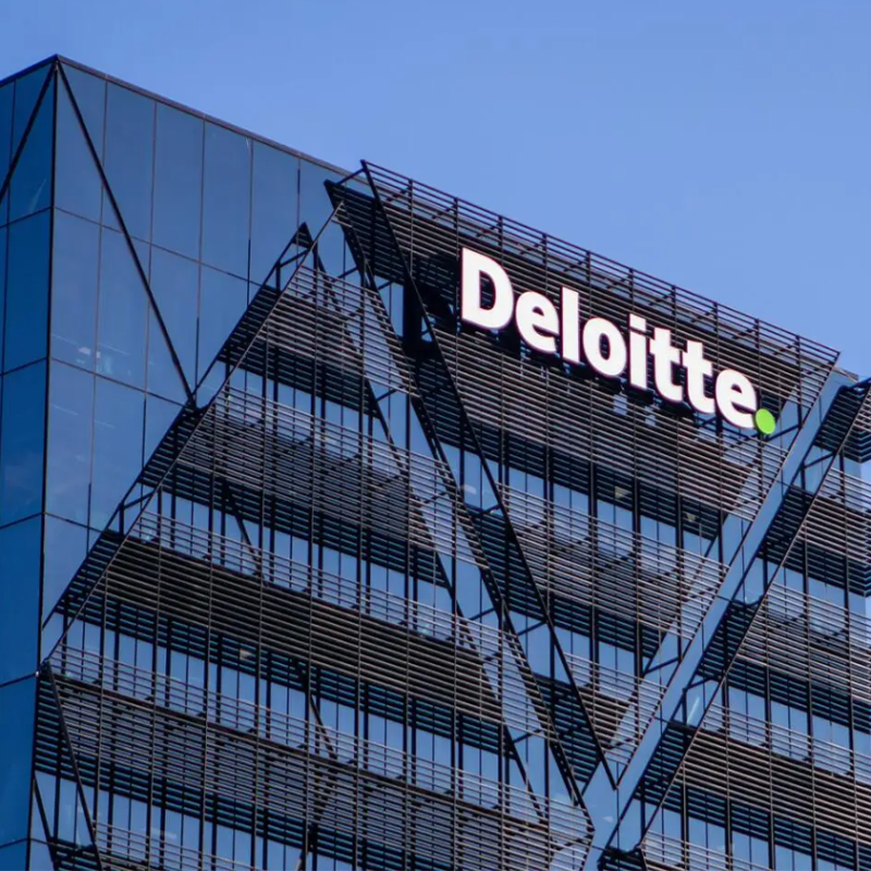 NANDO landed in Deloitte